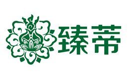 臻蒂