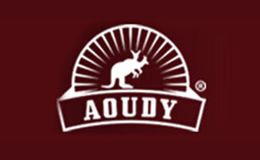奥媂AOUDY