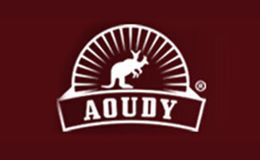 奥媂AOUDY