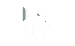 快优