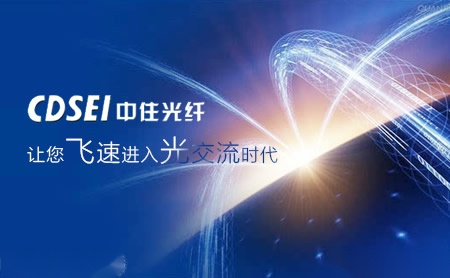 中住CDSEI 展示图