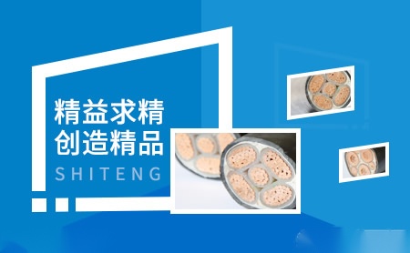 世腾SHITENG 展示图