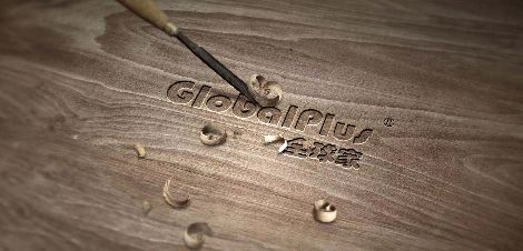Globalplus 展示图