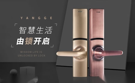 杨格YGS 展示图