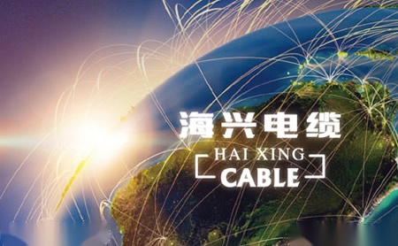 万森木门 展示图