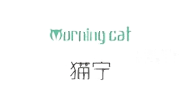 猫宁