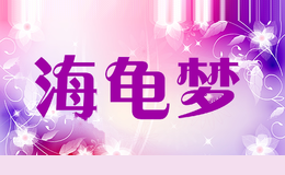 海龟梦haiguimeng