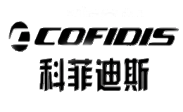 科菲迪斯COFIDIS