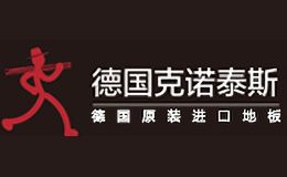 克诺泰斯