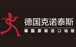 克诺泰斯