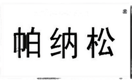 帕纳松汽车用品