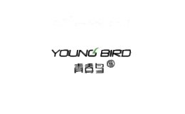 青春鸟youngbird