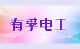 有孚电工