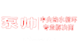 泵帅