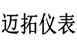 迈拓仪表