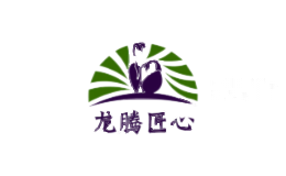 龙腾匠心