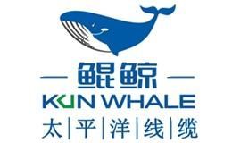 鲲鲸