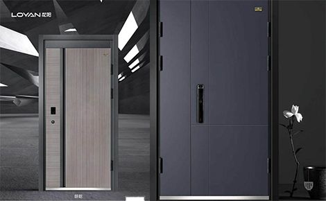 龙阳安全门 展示图