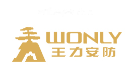 王力安防