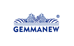 GEMMANEW