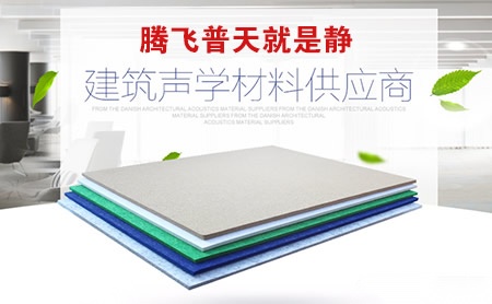 腾飞普天 展示图