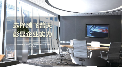 腾飞普天 展示图