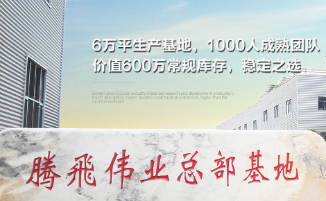 腾飞普天 展示图