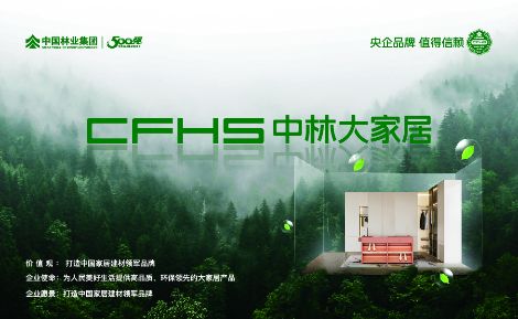 中林大家居 展示图