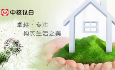 中核钛白 展示图