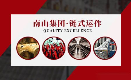 NANSHAN南山铝业 展示图