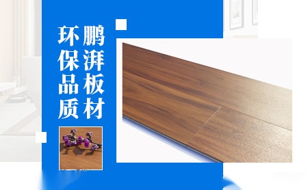 鹏湃 展示图