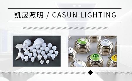 凯晟CASUN 展示图