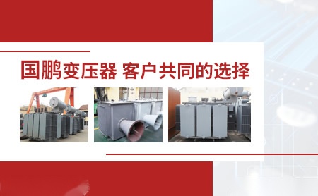 国鹏 展示图