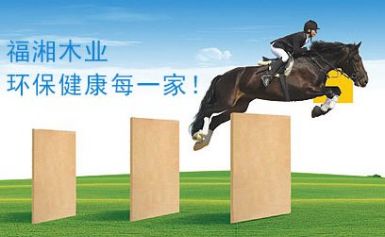 福湘FUXIANG 展示图