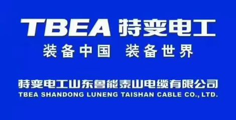 特变电工 展示图