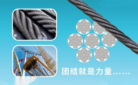 宇鑫龙 展示图
