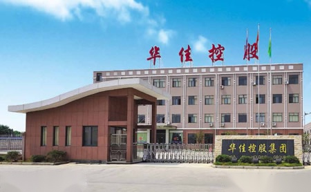 华佳 展示图