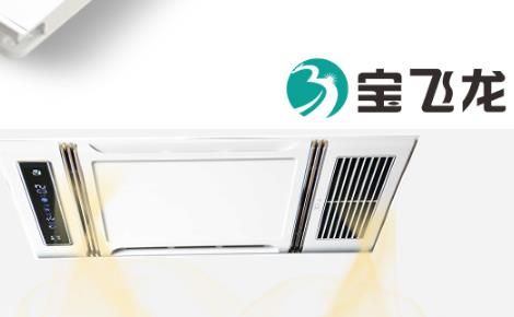 宝飞龙BAOFEILONG 展示图