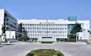 鲁阳LUYANG 展示图