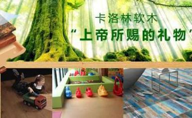 CAROLIM卡洛林 展示图
