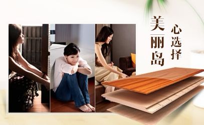 美丽岛 展示图