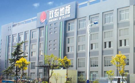 双奇地板 展示图