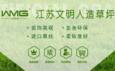 文明人造草坪 展示图