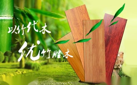 康替龙 展示图