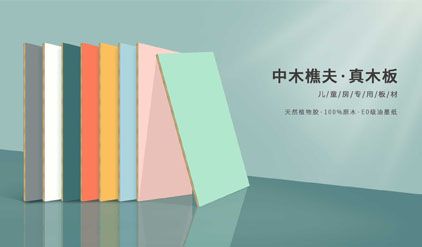 中木樵夫 展示图