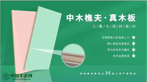 中木樵夫 展示图