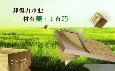 金硕 展示图