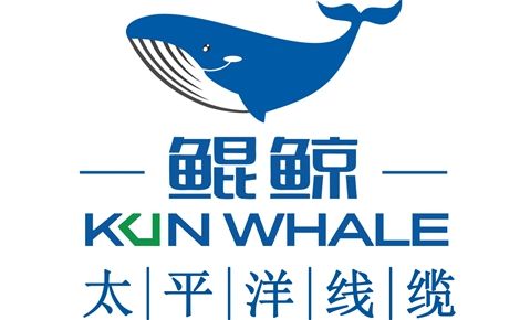 鲲鲸 展示图