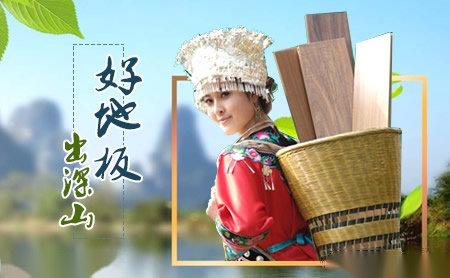 山山地板SHANSHAN 展示图