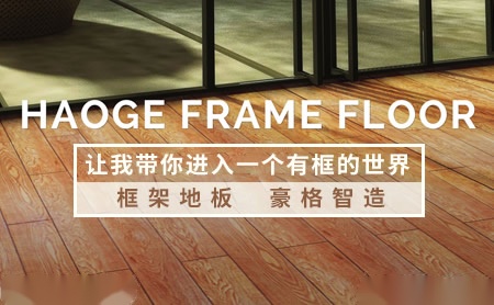 豪格 展示图